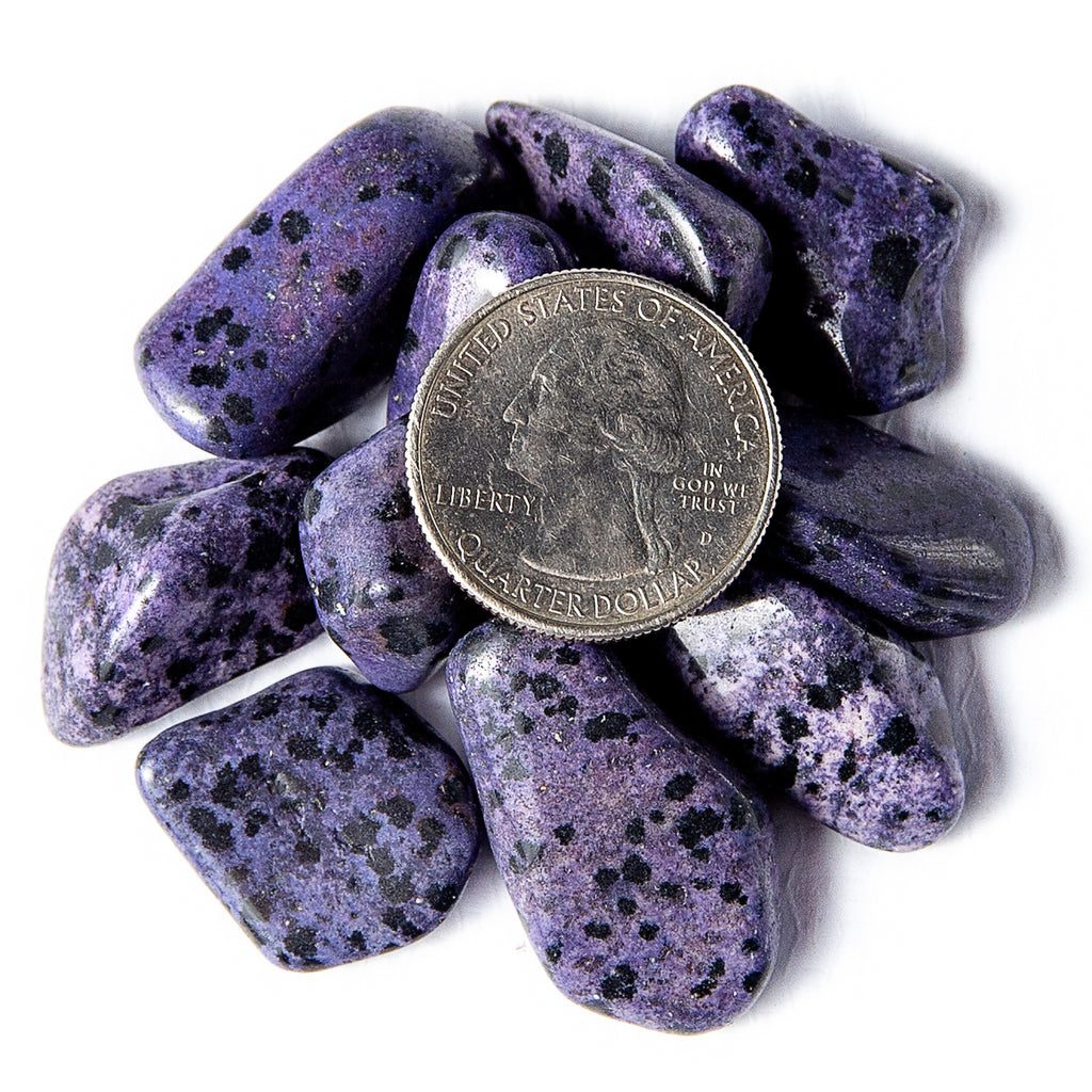 Medium Tumbled Purple Dalmatian Jasper Gemstones with a Quarter for Size