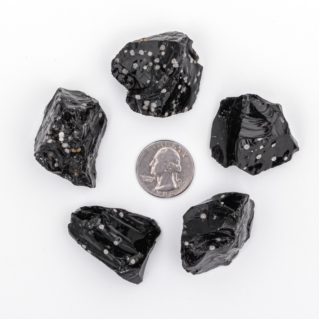 Rough/Raw Snowflake Obsidian Gemstones with a Quarter for Size