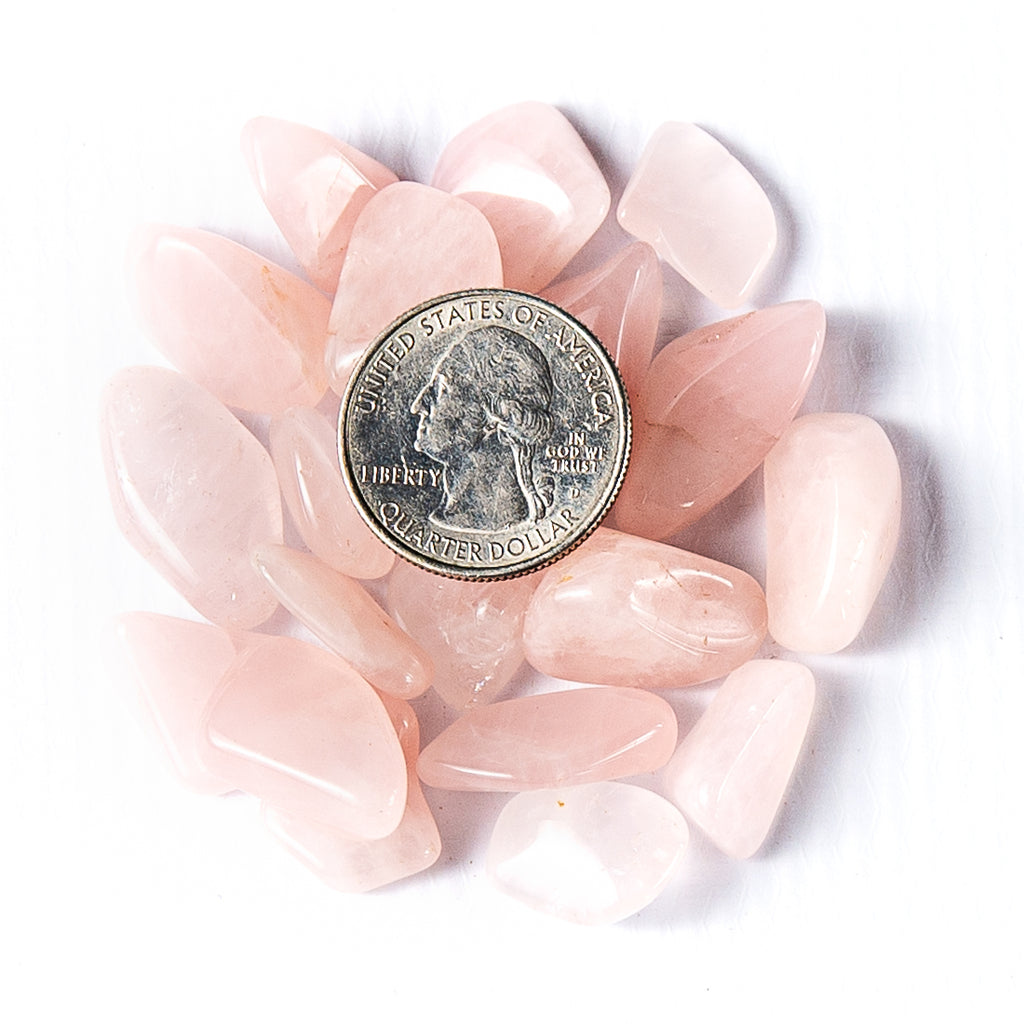 Small Tumbled Rose Quartz Gemstones with a Quarter for Size