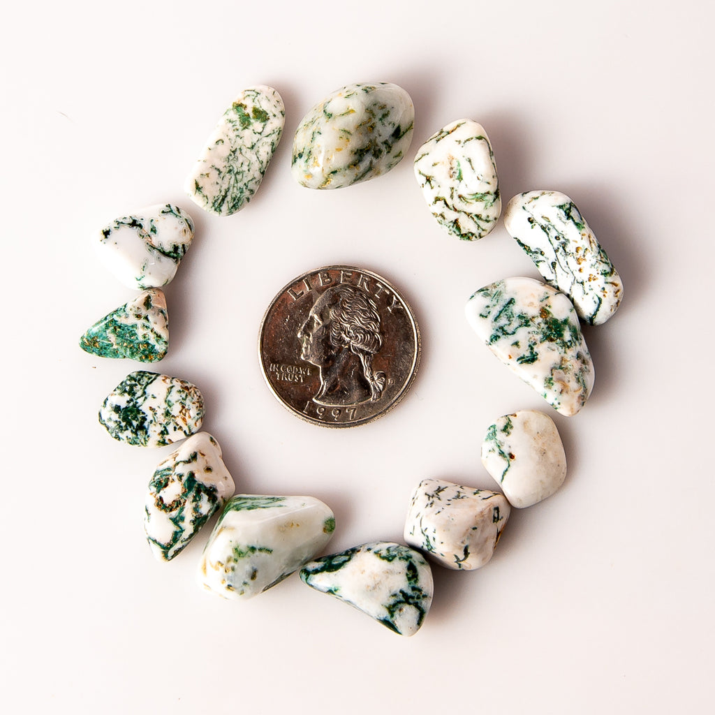 Small Tumbled Tree Agate Gemstones with a Quarter for Size