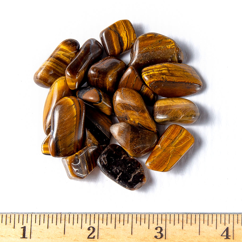 Small Tumbled Golden Tigers Eye Gemstones with a Ruler for Size
