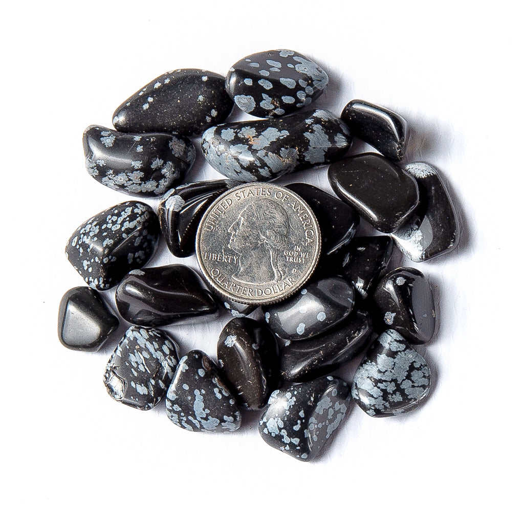 Small Tumbled Snowflake Obsidian Gemstones with a Quarter for Size
