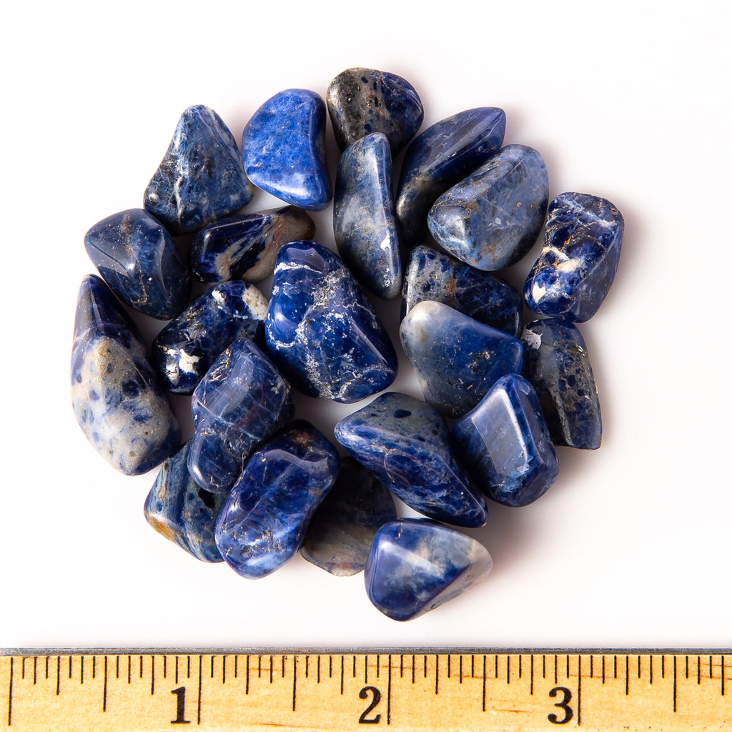 Small Tumbled Sodalite Gemstones with a Ruler for Size