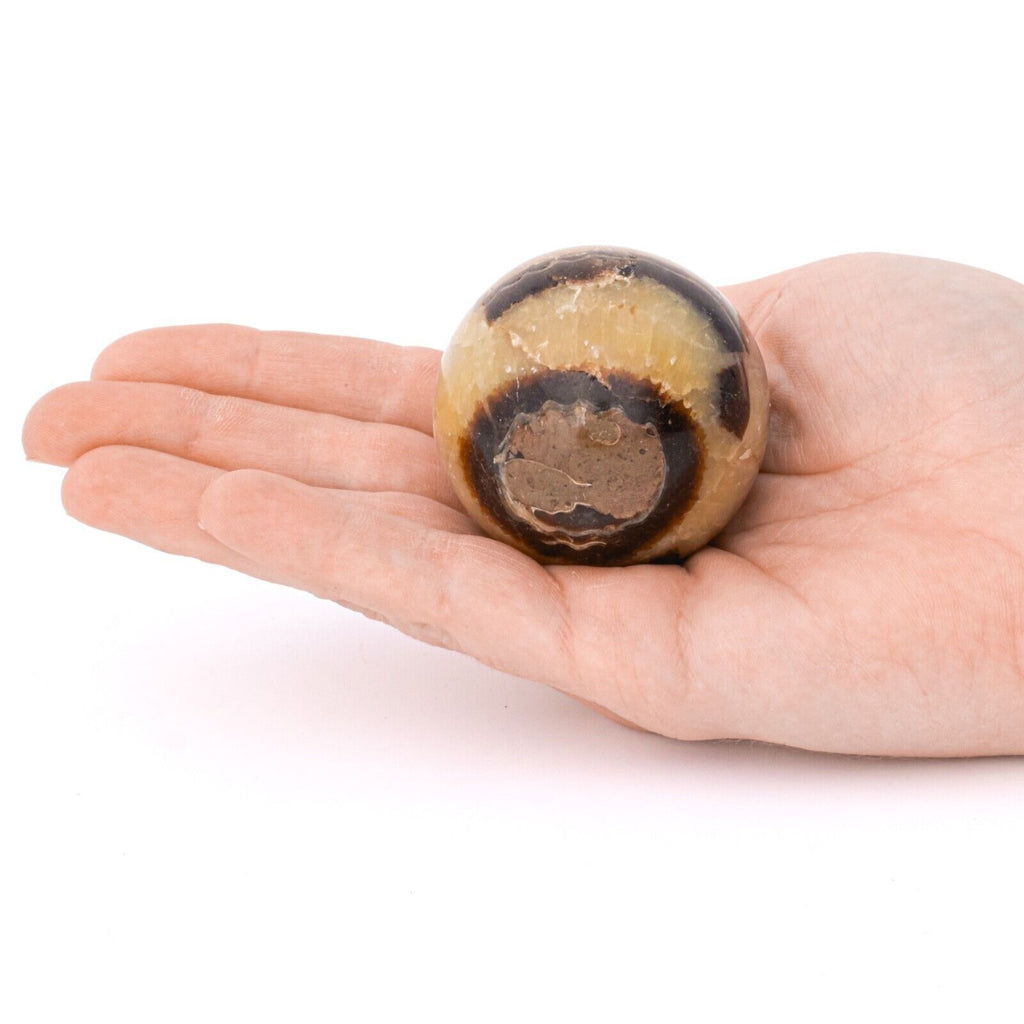 NEW! 40-50mm Natural Septarian Sphere & Stand