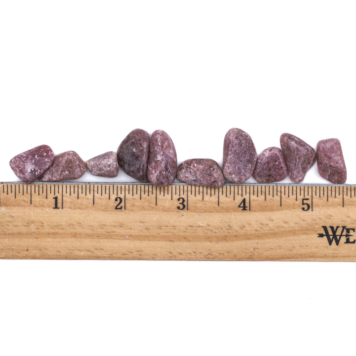 NEW! Small Tumbled Rocks Pink Aventurine | Tree of Life Gems