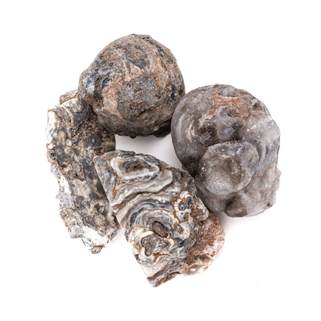 Geode Rough Stone NEW! Small Raw Agate Oco Rough Gemstone Geodes | Tree of Life Gems
