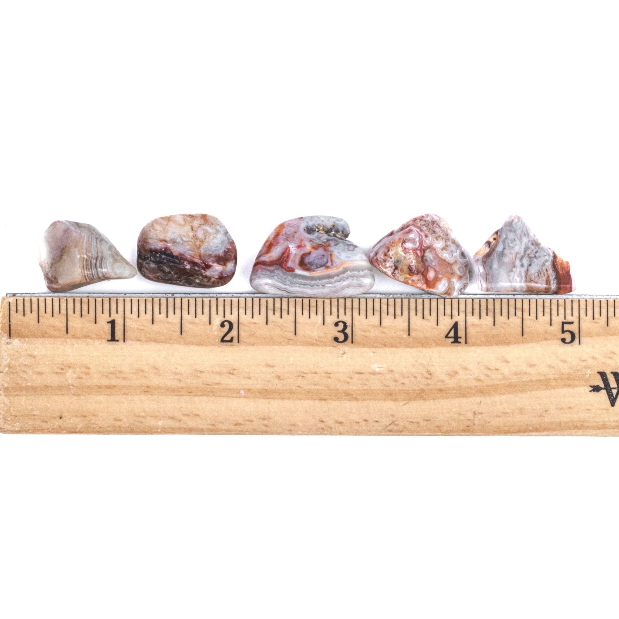 Medium Tumbled Rocks Mexican Crazy Lace Agate | Tree of Life Gems