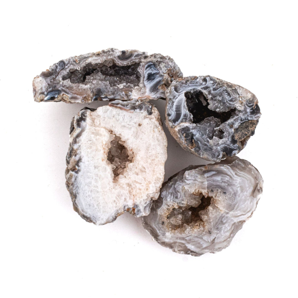 The Rough Geode NEW! Small Raw Agate Oco Rough Gemstone Geodes | Tree of Life Gems