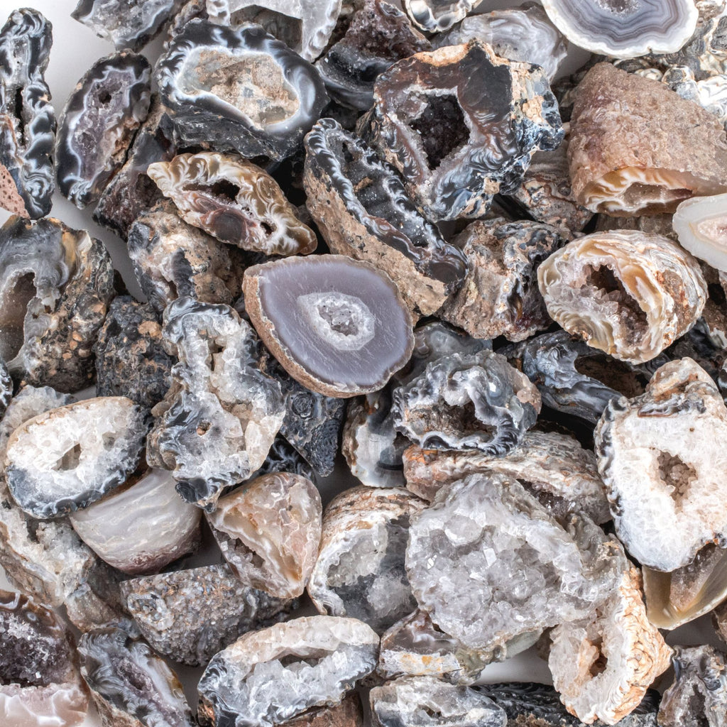 Geode Rough Stone NEW! Small Raw Agate Oco Rough Gemstone Geodes | Tree of Life Gems