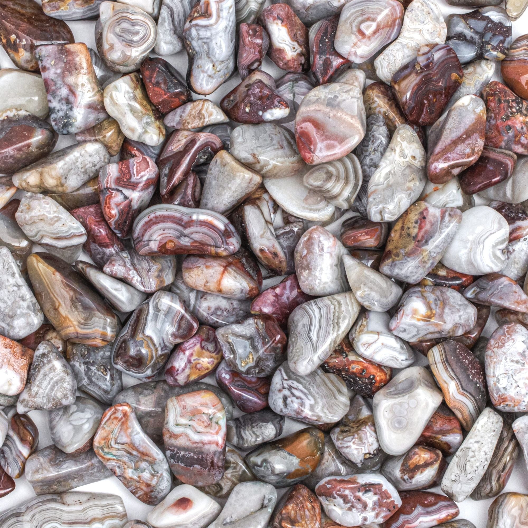 ff1da15f-e029-4d10-9385-