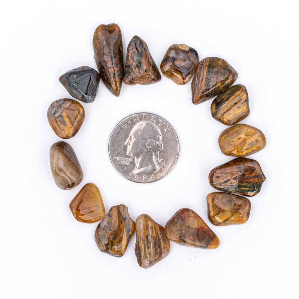 Small Tumbled Lionskin Gemstones with Quarter for Size