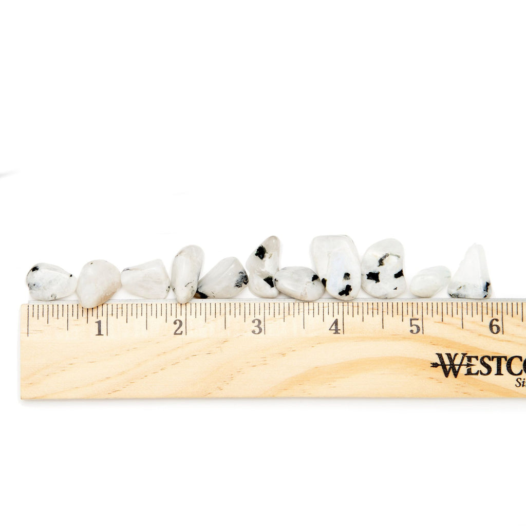 Small Tumbled Rainbow Moonstone Gemstones with Ruler for Size