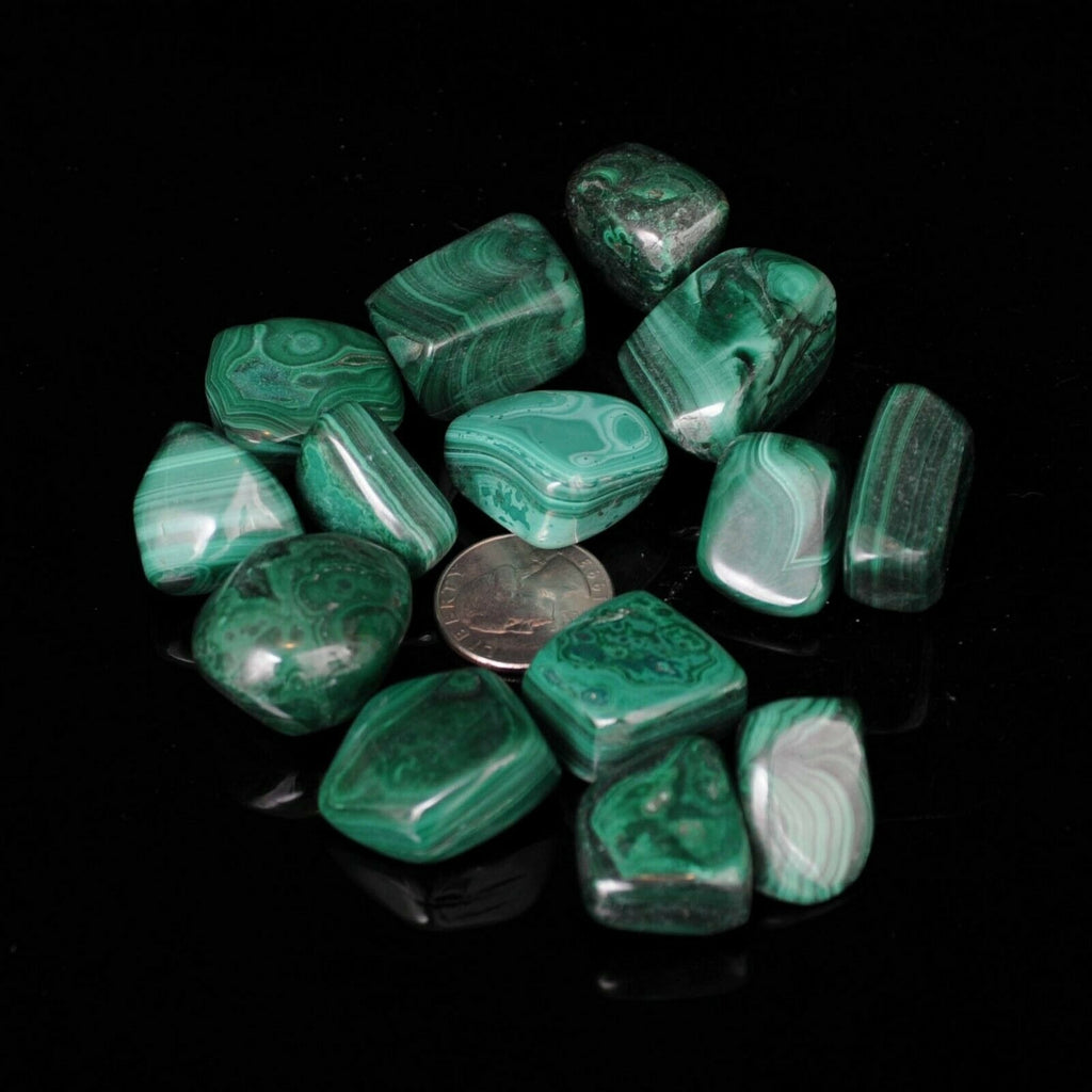 Large Tumbled Malachite Gemstones with Quarter