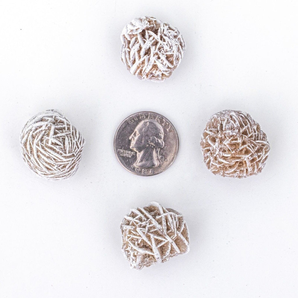 Rough/Raw Desert Rose Gemstones with Quarter for Size