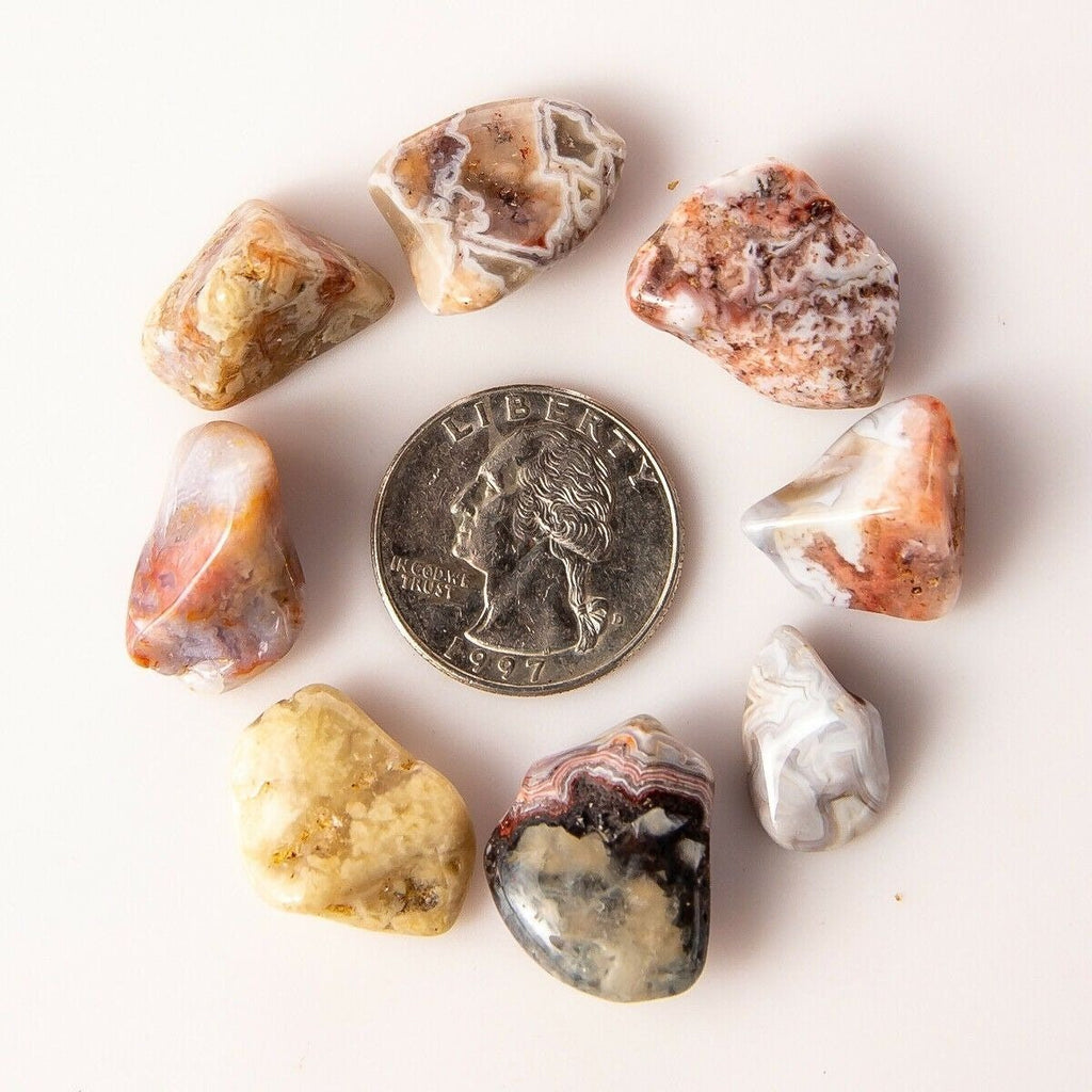 Small Tumbled Mexican Crazy Lace Agate Gemstones with Quarter for Size