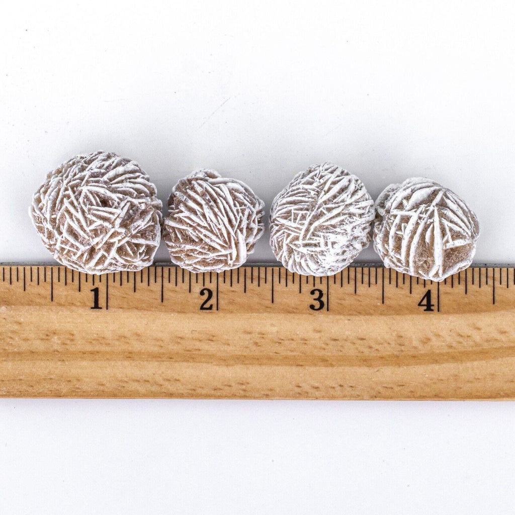 Rough/Raw Desert Rose Gemstones with Ruler for Size