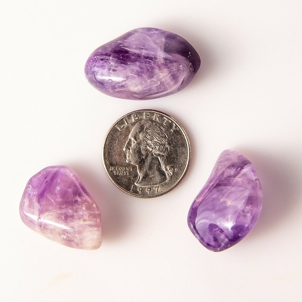 Medium Tumbled Amethyst Gemstone Crystals with Quarter for Size