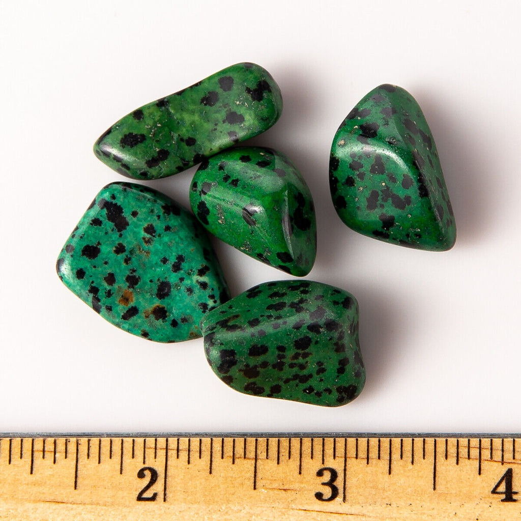 Small Tumbled Green Dalmatian Jasper Gemstones with Ruler for Size