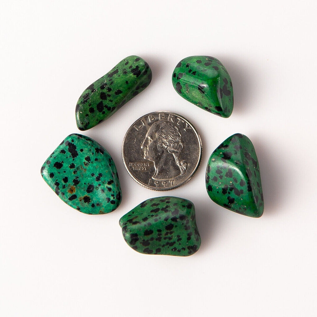 Small Tumbled Green Dalmatian Jasper Gemstones with Quarter for Size