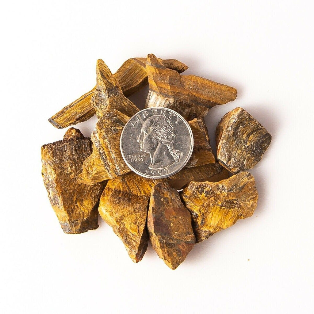 Medium Rough/Raw Gold Tiger's Eye Gemstones with Quarter for Size