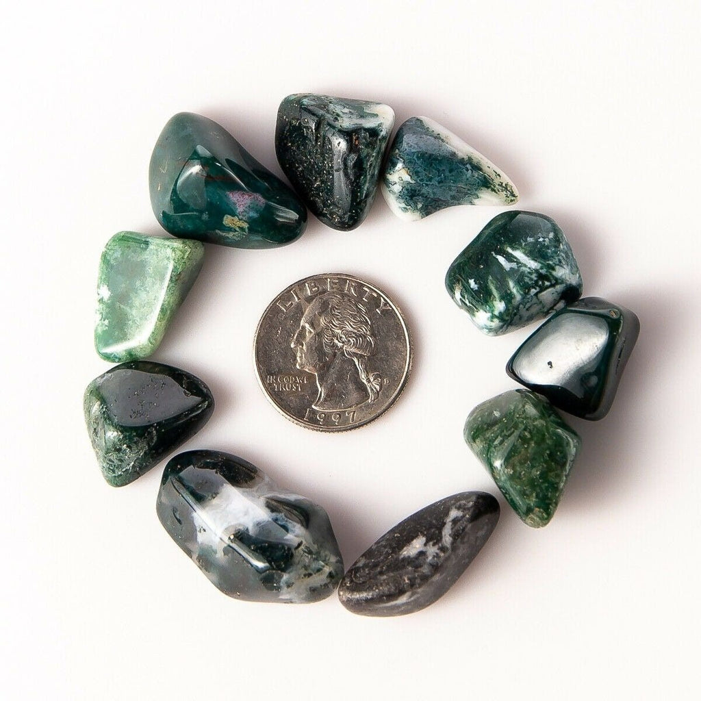 Medium Tumbled Green Moss Agate Gemstones with Quarter for Size