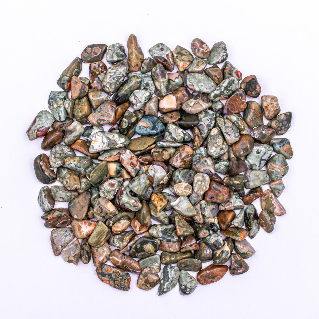 3/4 Pound of Small Tumbled Rainforest Rhyolite Jasper Gemstone Crystals