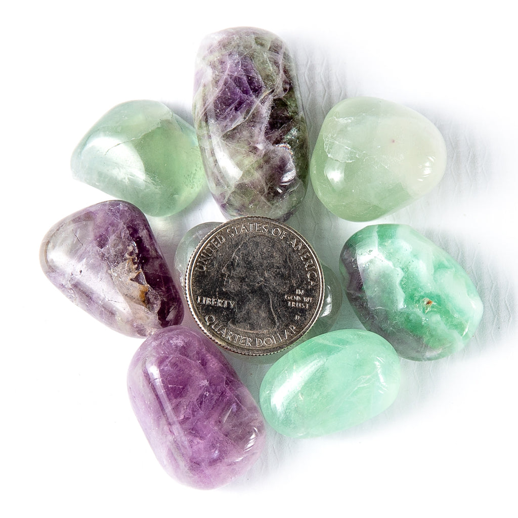 Medium Tumbled Fluorite Gemstones with Quarter for Size
