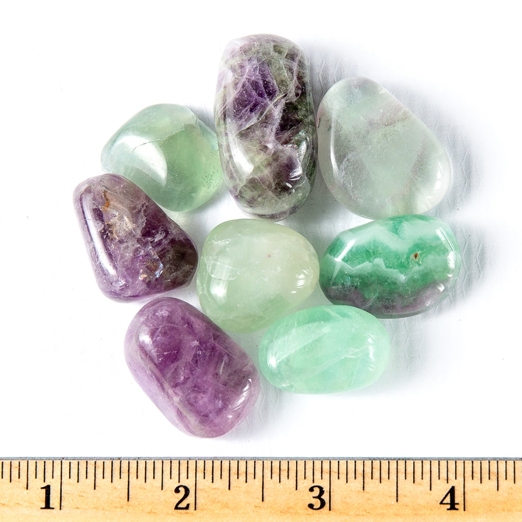 Medium Tumbled Fluorite Gemstones with Ruler for Size