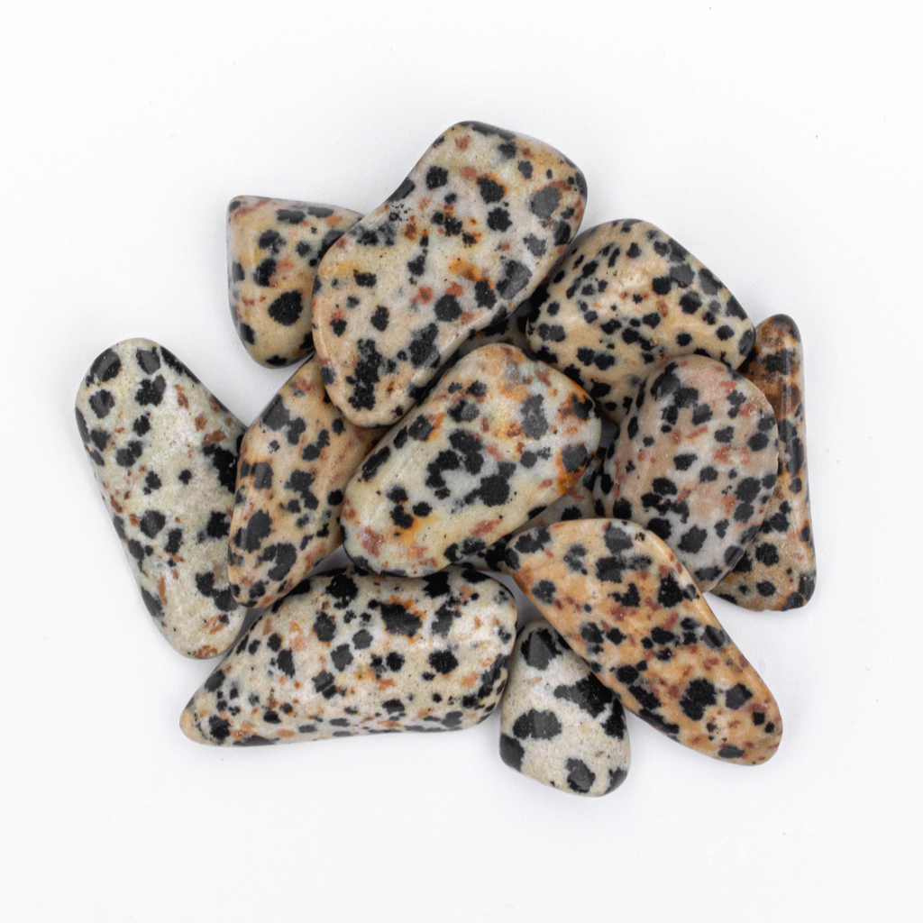 25 Grams of Small Tumbled Dalmatian Jasper Gemstone Crystals