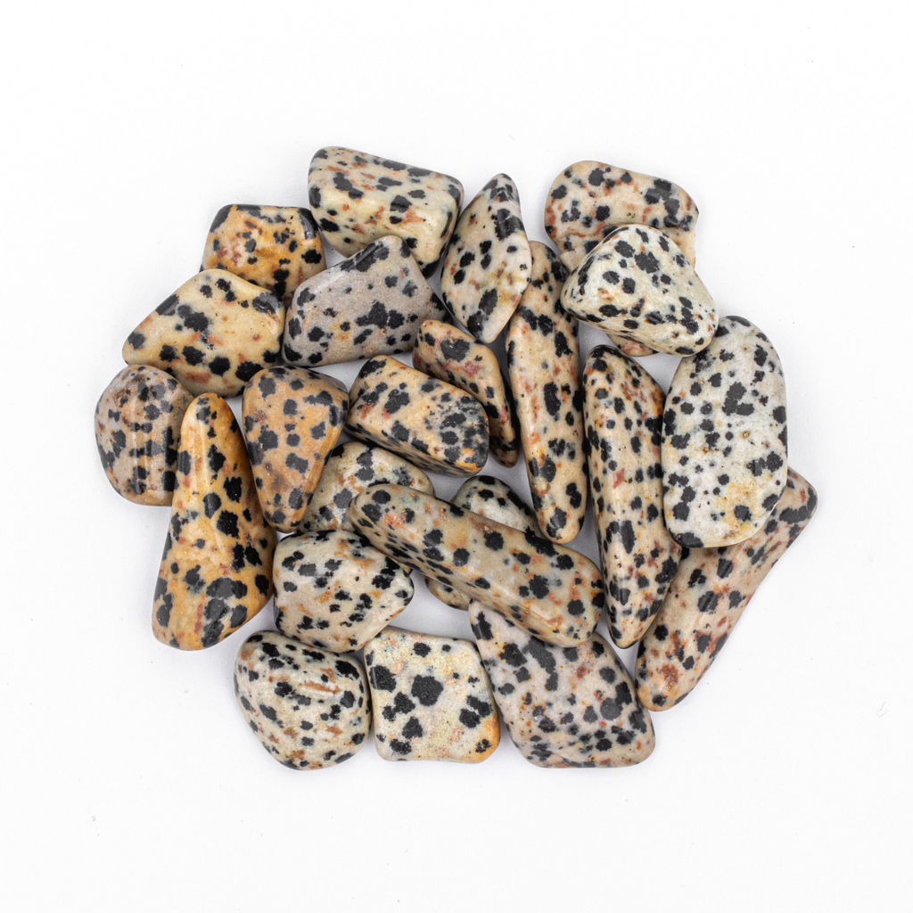50 Grams of Small Tumbled Dalmatian Jasper Gemstone Crystals