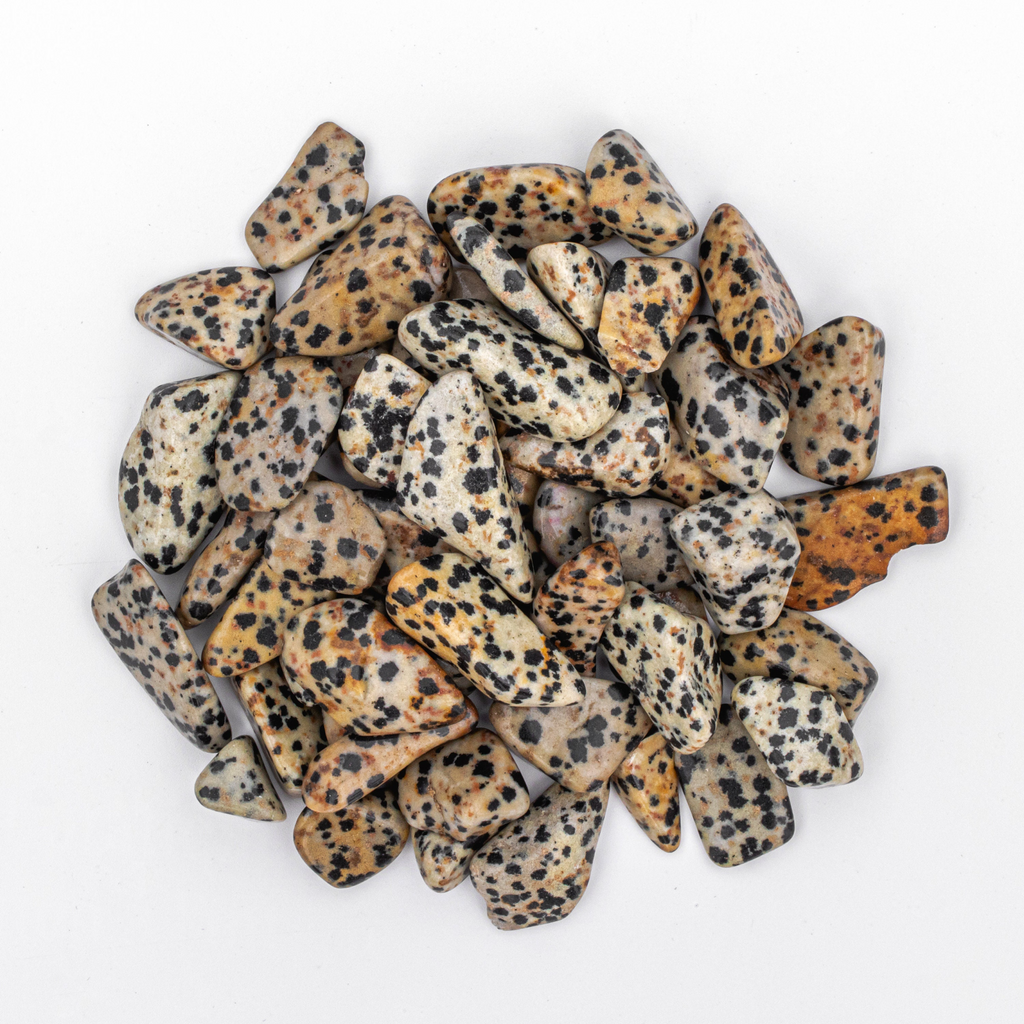 1/4 Pound of Small Tumbled Dalmatian Jasper Gemstone Crystals