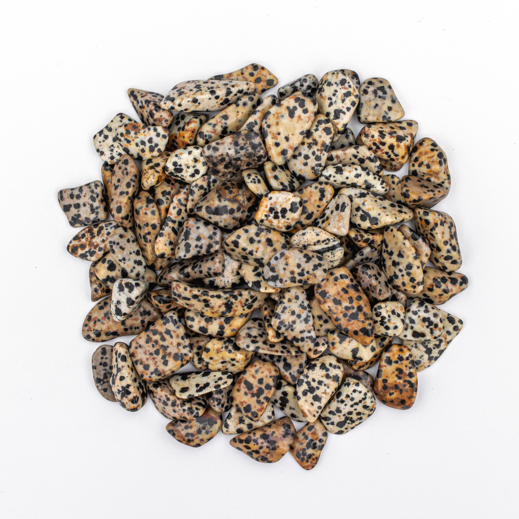 1/2 Pound of Small Tumbled Dalmatian Jasper Gemstone Crystals