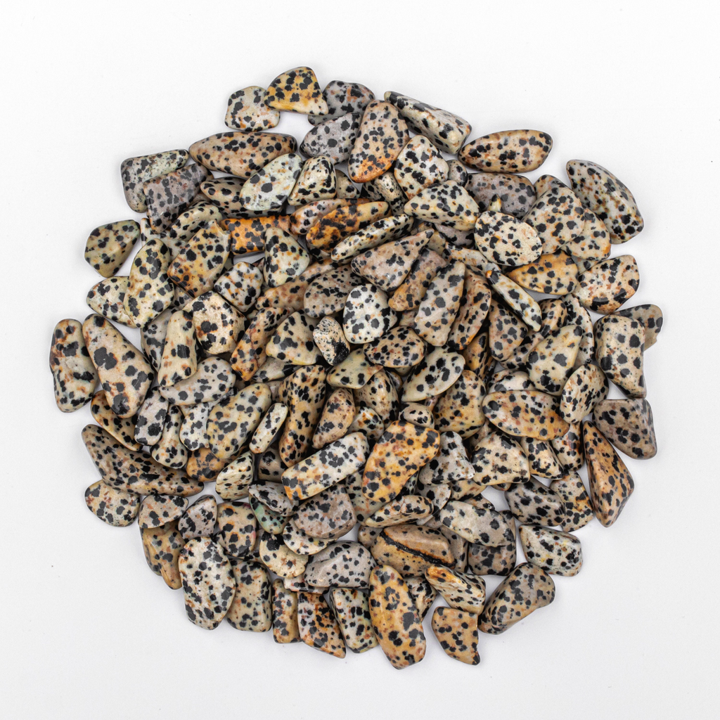 3/4 Pound of Small Tumbled Dalmatian Jasper Gemstone Crystals
