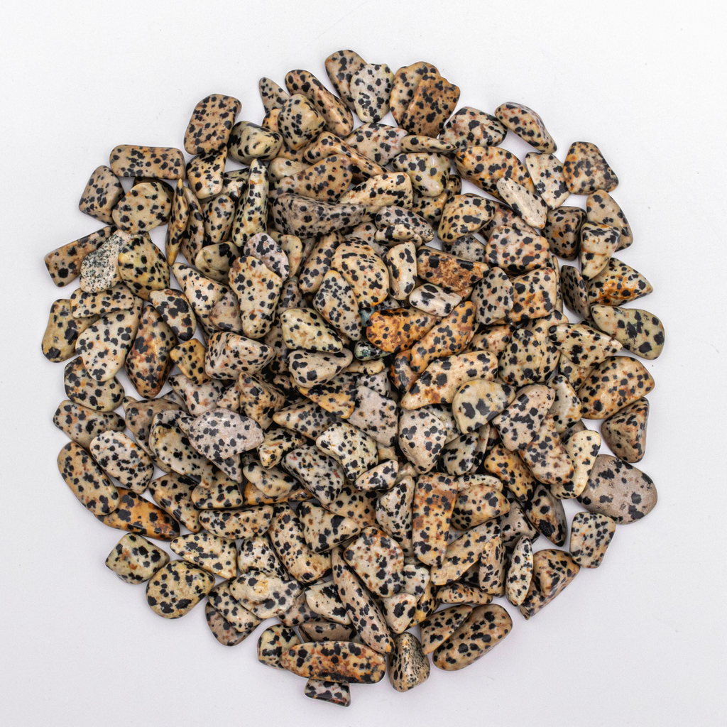 1 Pound of Small Tumbled Dalmatian Jasper Gemstone Crystals
