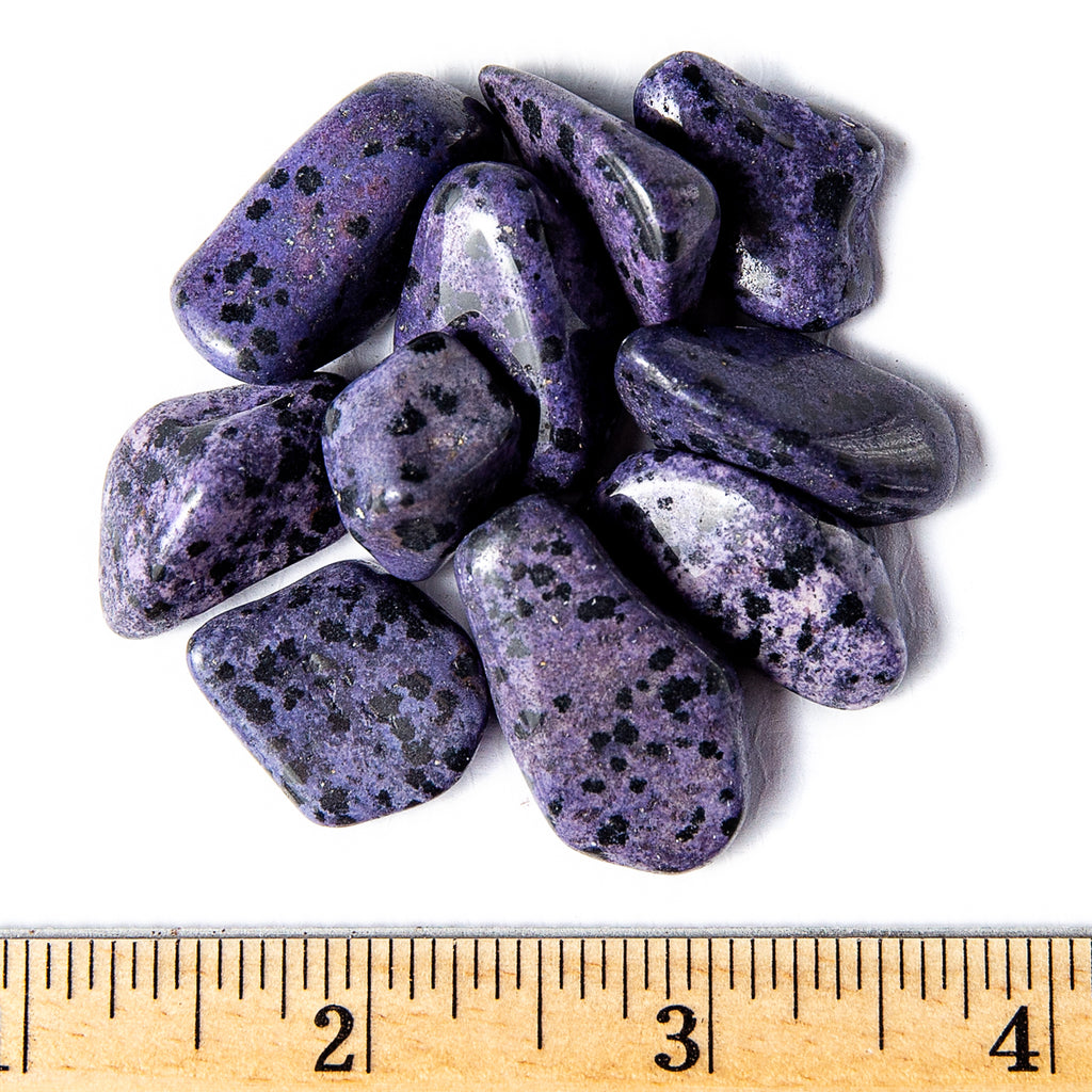 Medium Tumbled Purple Dalmatian Jasper Gemstones with a Ruler for Size