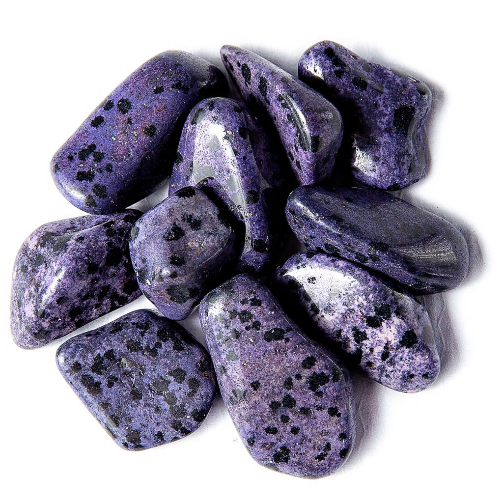 50 Grams of Tumbled Purple Dalmatian Jasper Gemstone Crystals