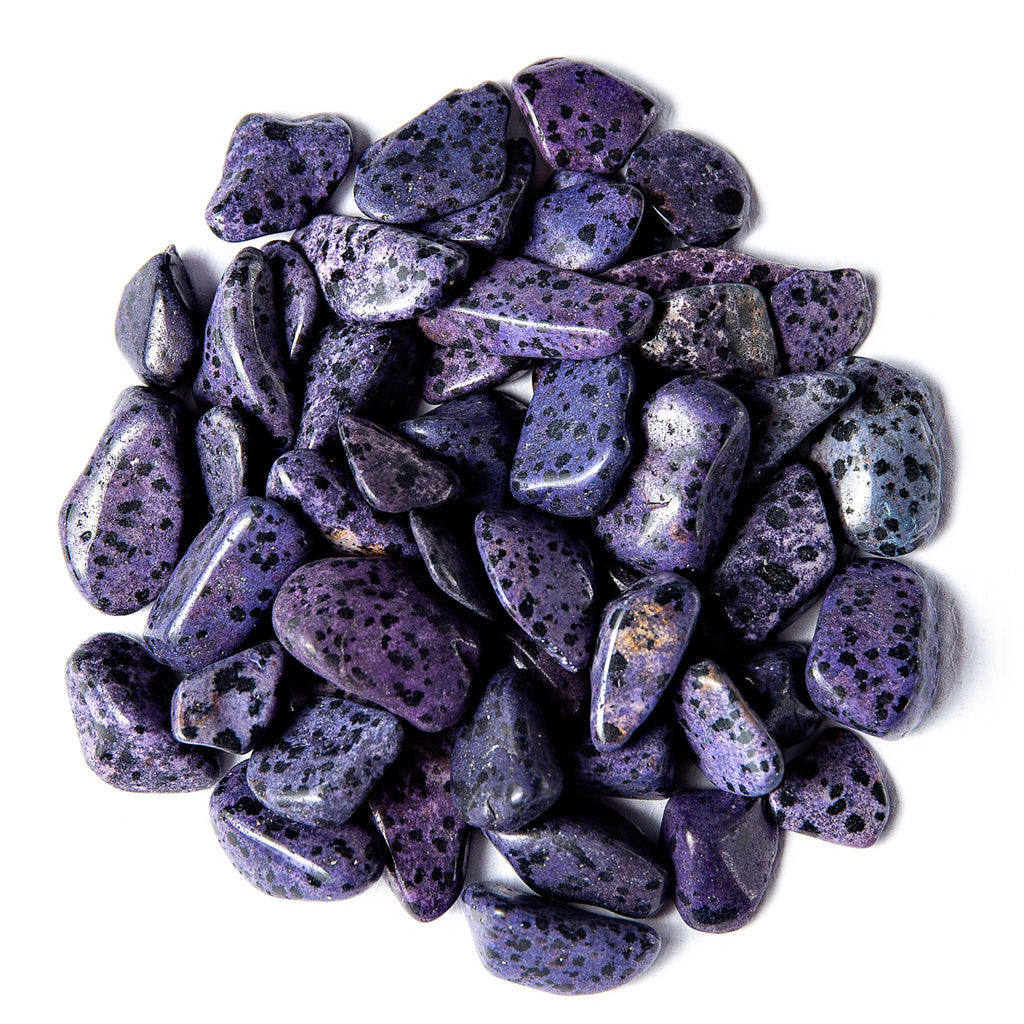 1/2 Pound of Tumbled Purple Dalmatian Jasper Gemstone Crystals