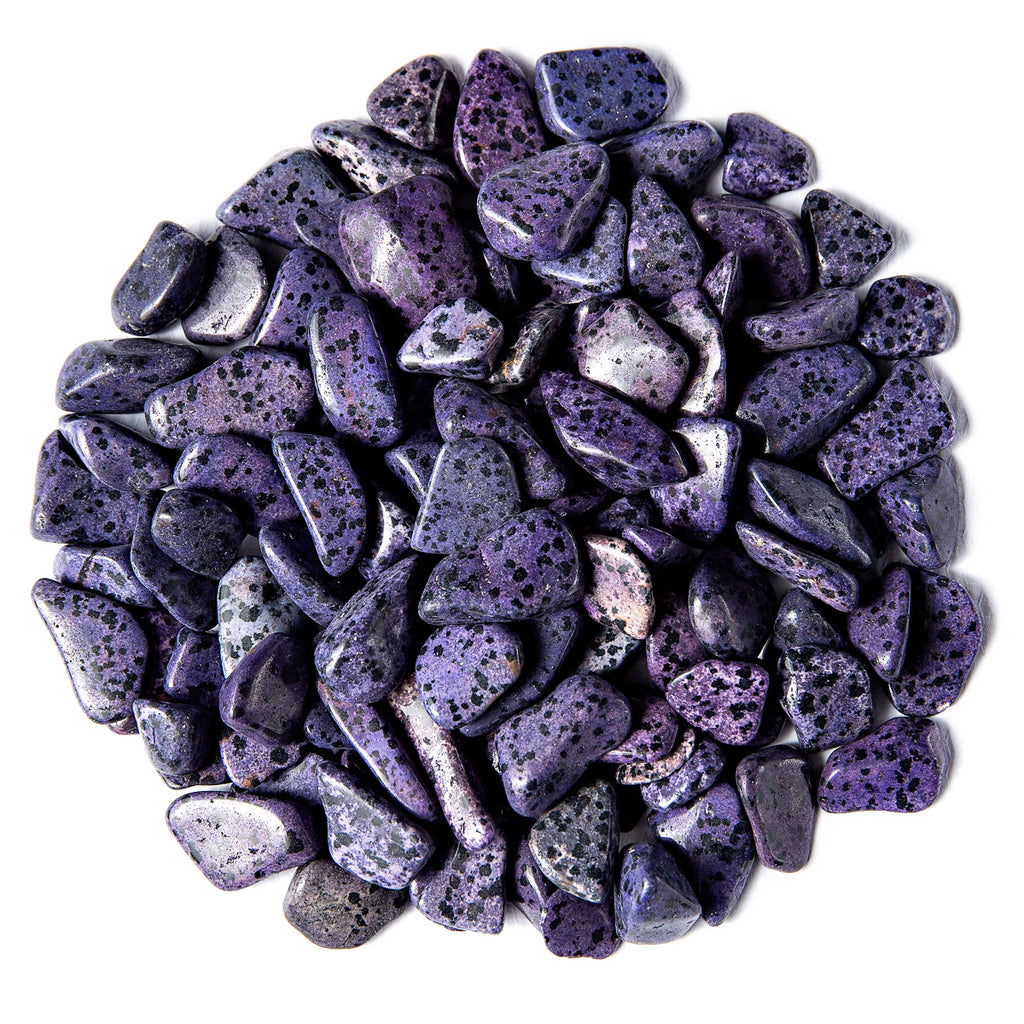 1 Pound of Tumbled Purple Dalmatian Jasper Gemstone Crystals