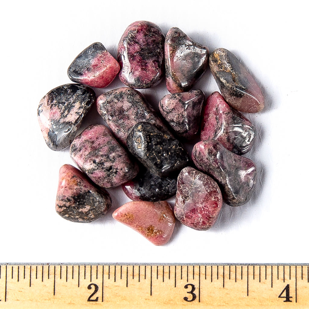 Small Tumbled Rhodonite Gemstones with a Ruler for Size