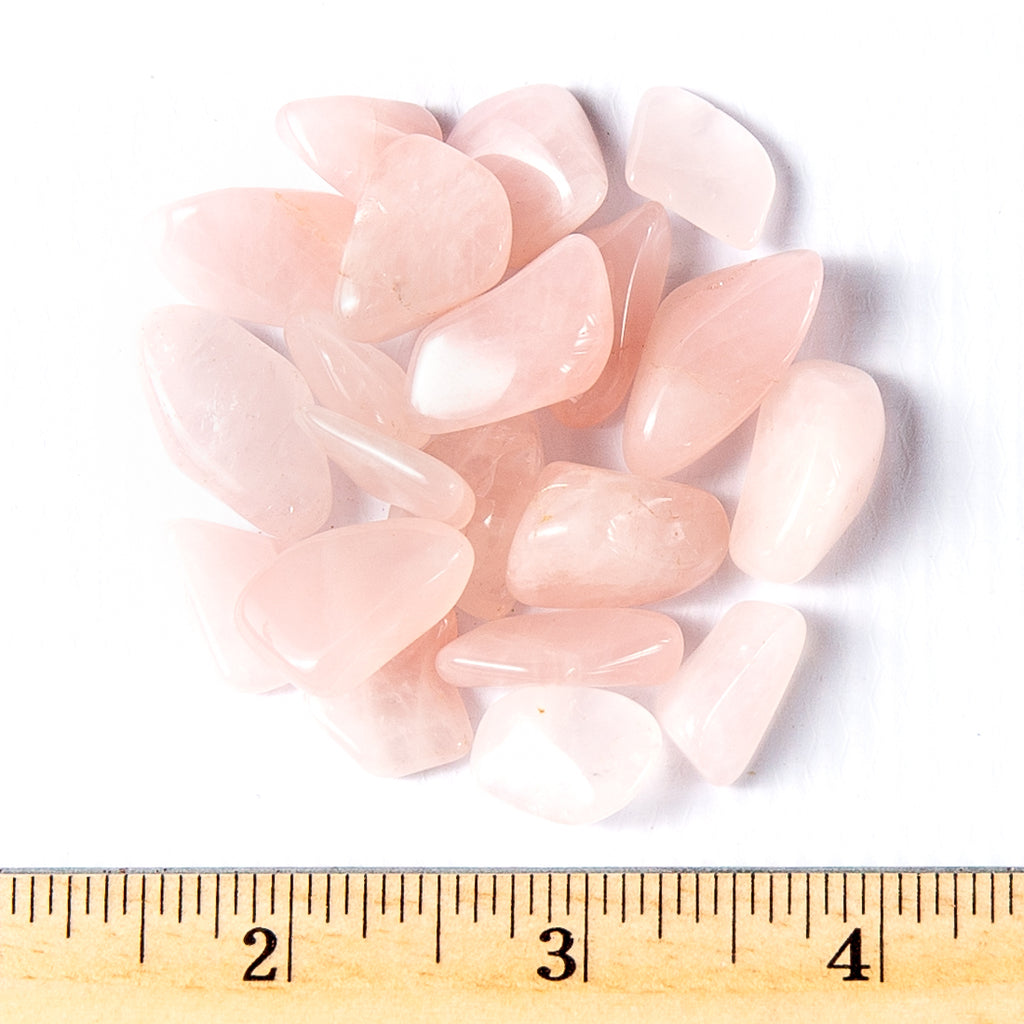 Small Tumbled Rose Quartz Gemstones with a Ruler for Size