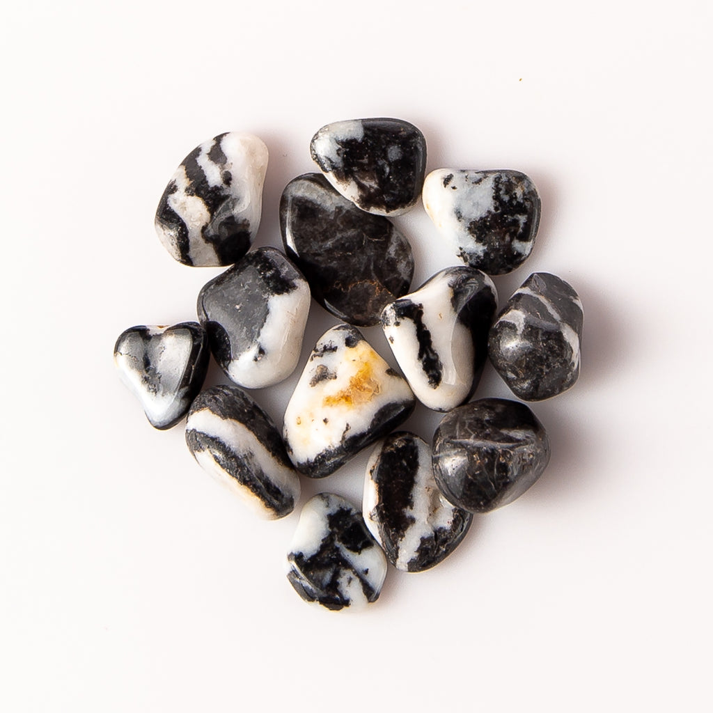 25 Grams of Small Tumbled Zebra Stone Gemstone Crystals