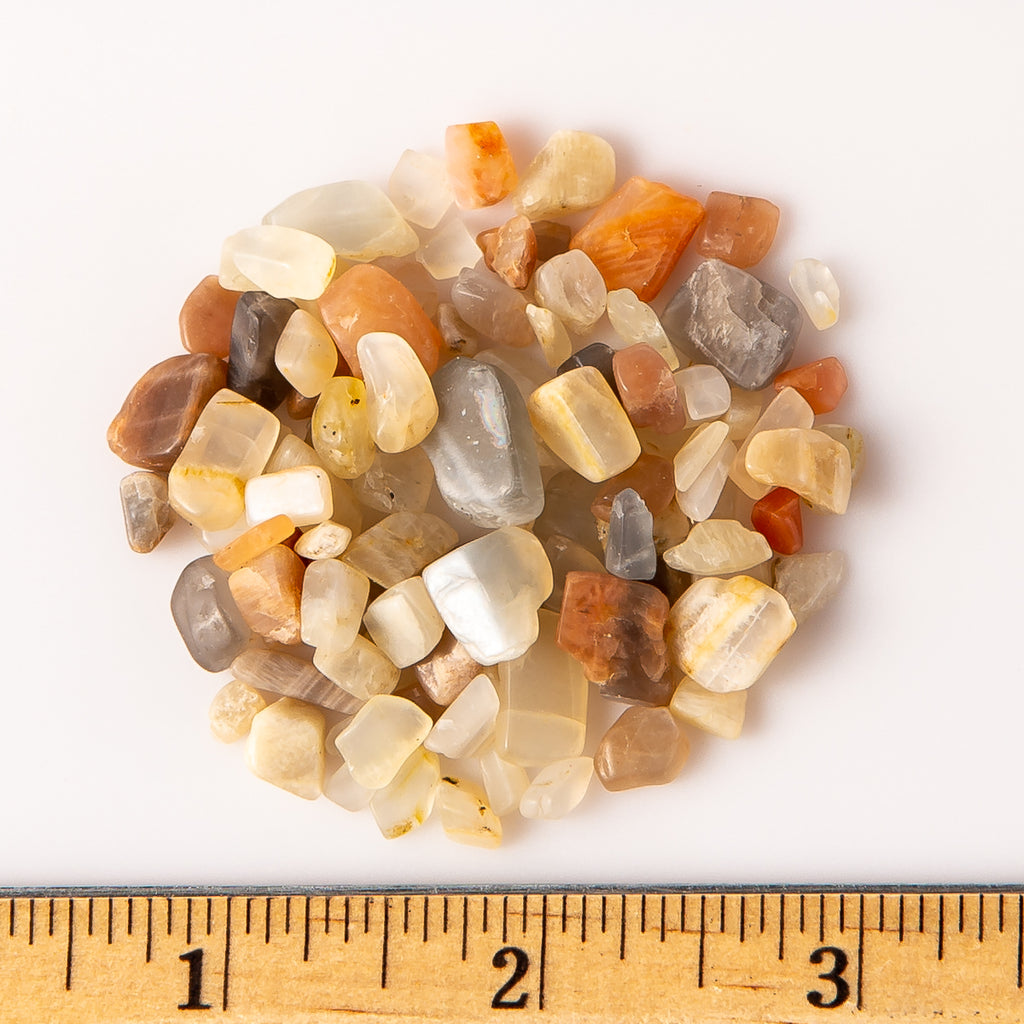 Tumbled Earth Tones Moonstone Gemstone Crystal Chips with a Ruler for Size