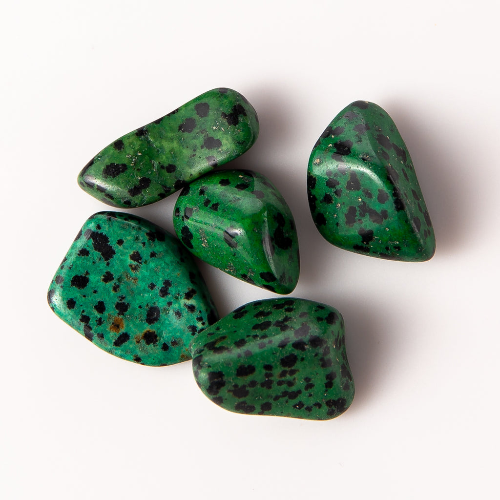 25 Grams of Small Tumbled Green Dalmatian Jasper Gemstone Crystals