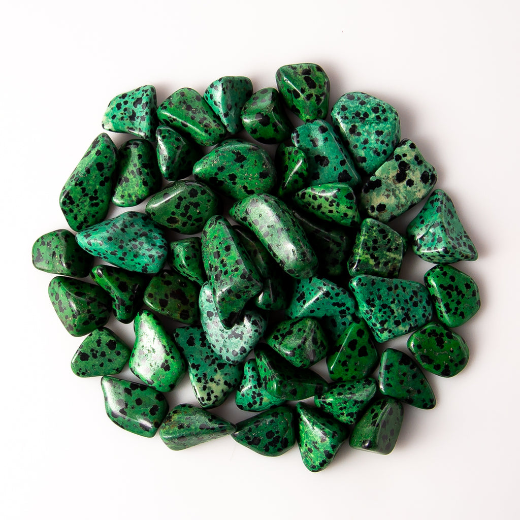 1/2 Pound of Small Tumbled Green Dalmatian Jasper Gemstone Crystals