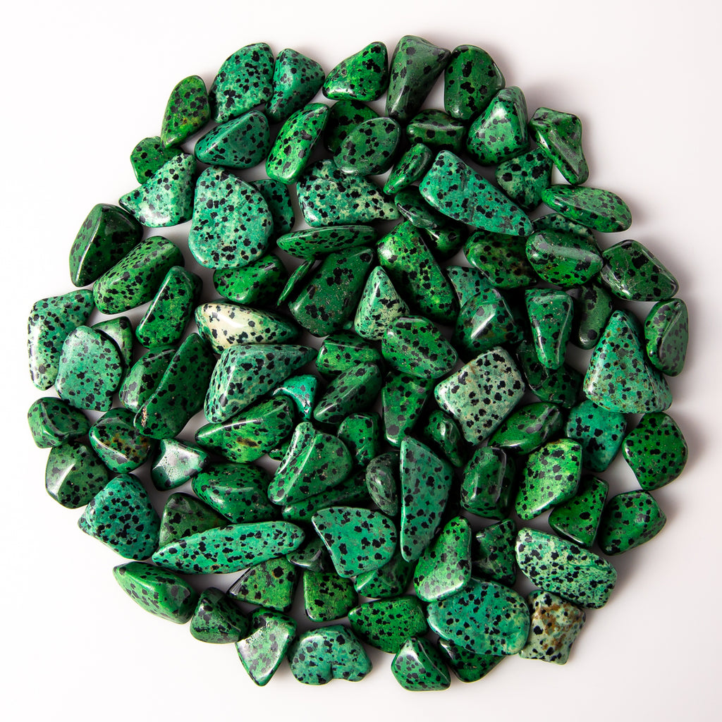 1 Pound of Small Tumbled Green Dalmatian Jasper Gemstone Crystals