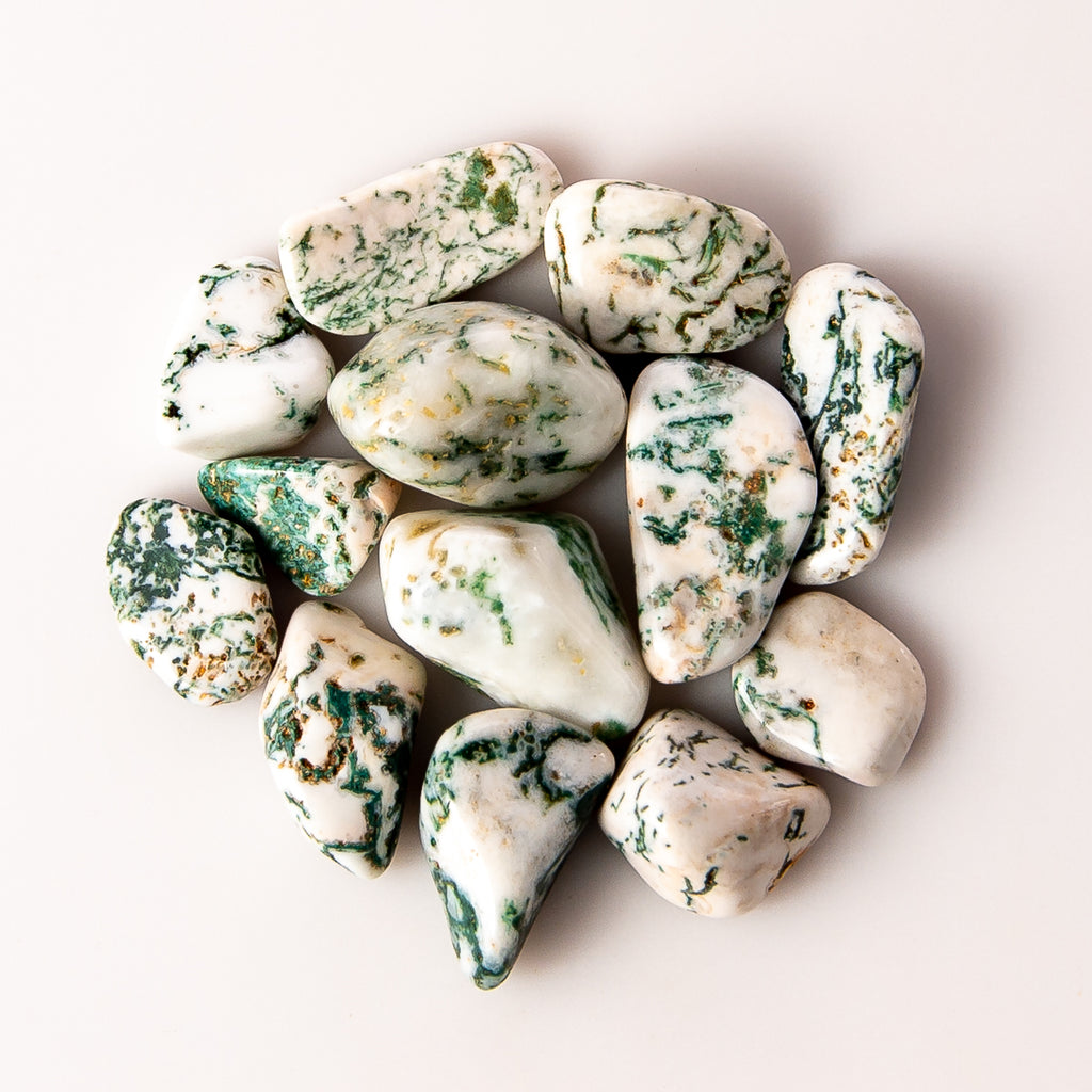 50 Grams of Small Tumbled Tree Agate Gemstone Crystals