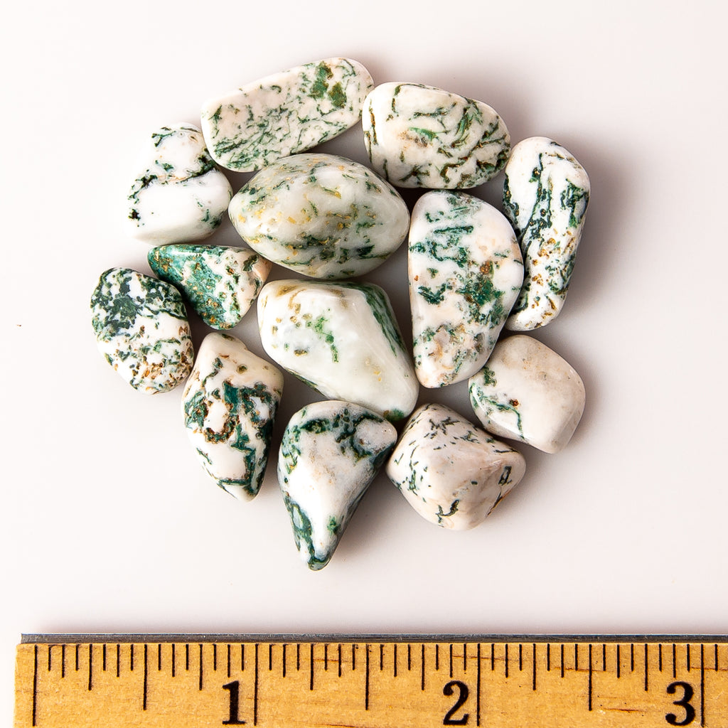 Small Tumbled Tree Agate Gemstones with a Ruler for Size