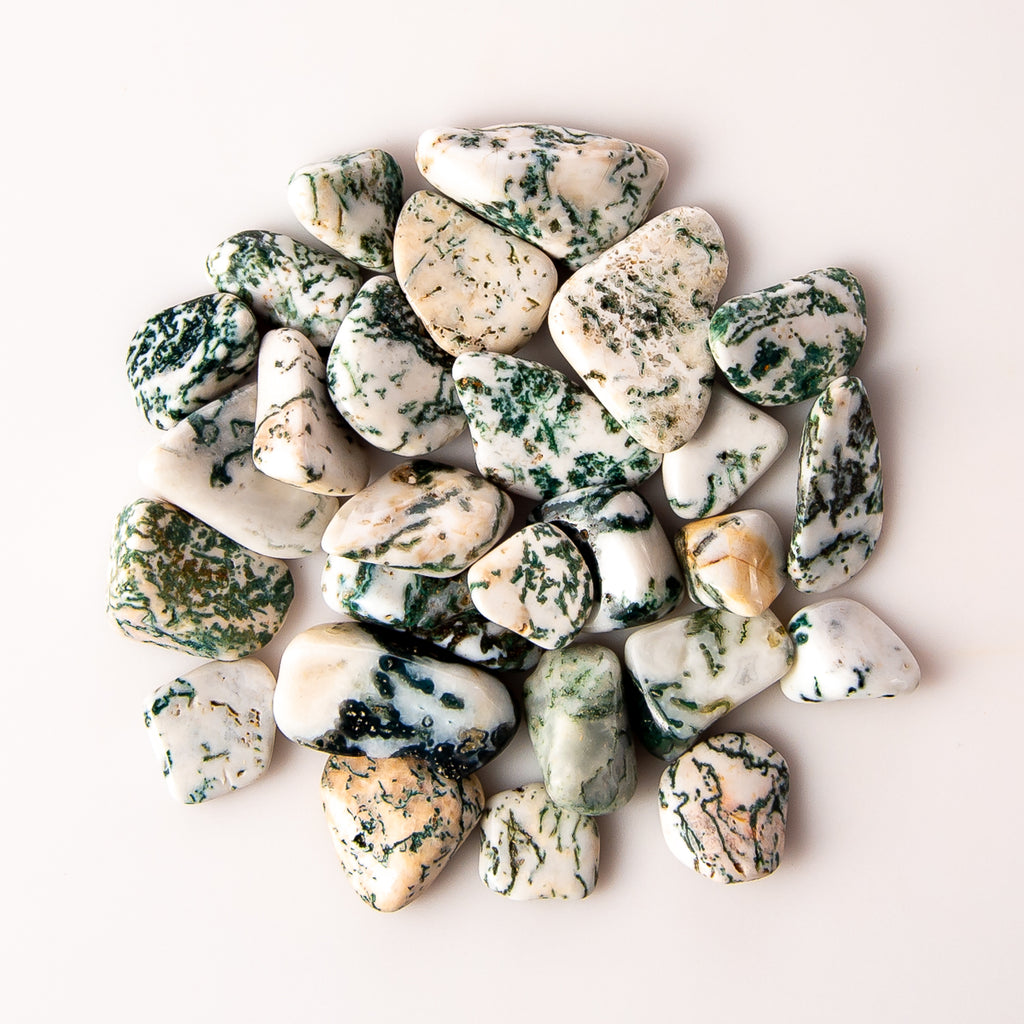 1/4 Pound of Small Tumbled Tree Agate Gemstone Crystals