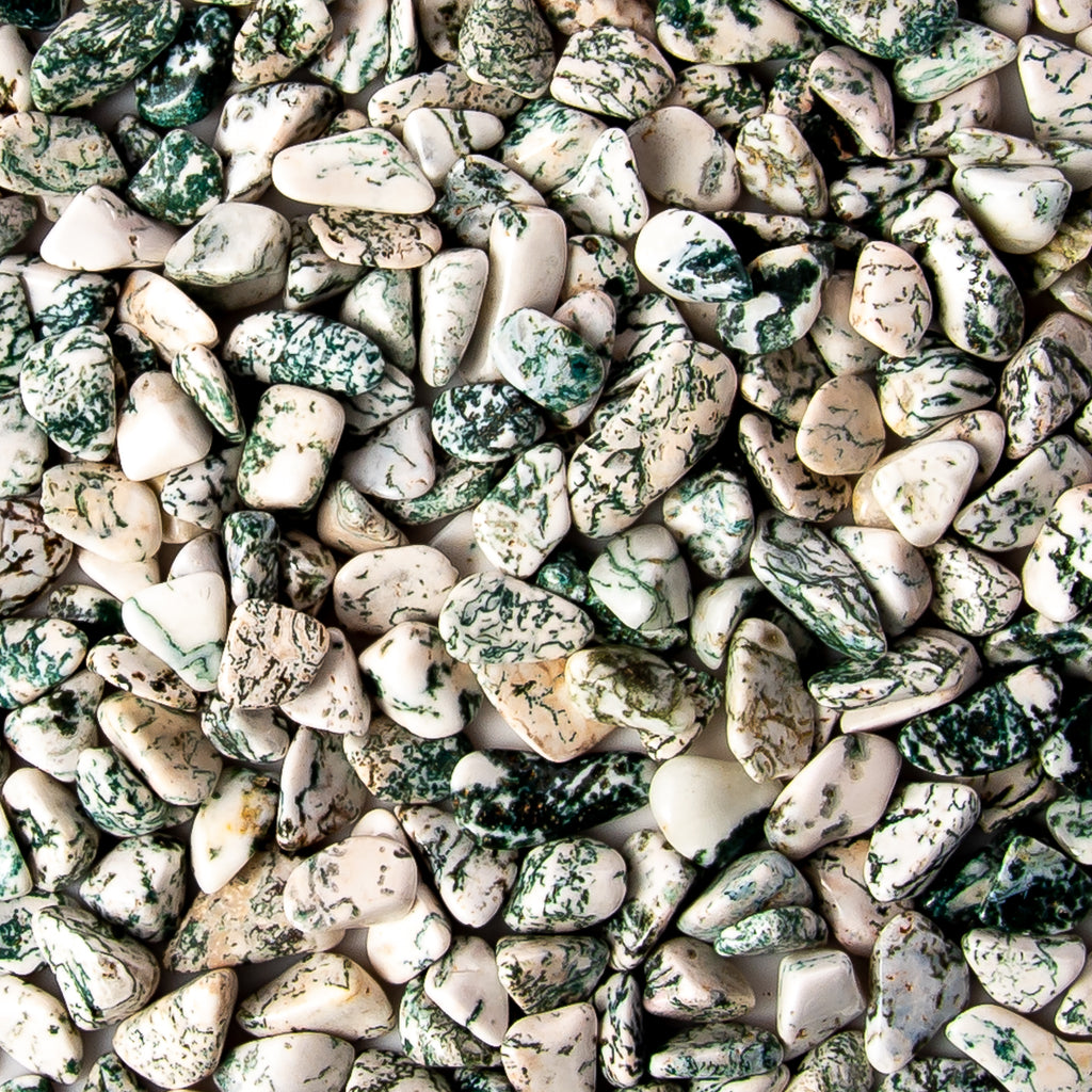 Timbled Tree Tumbled Rocks | Tree of Life Gems