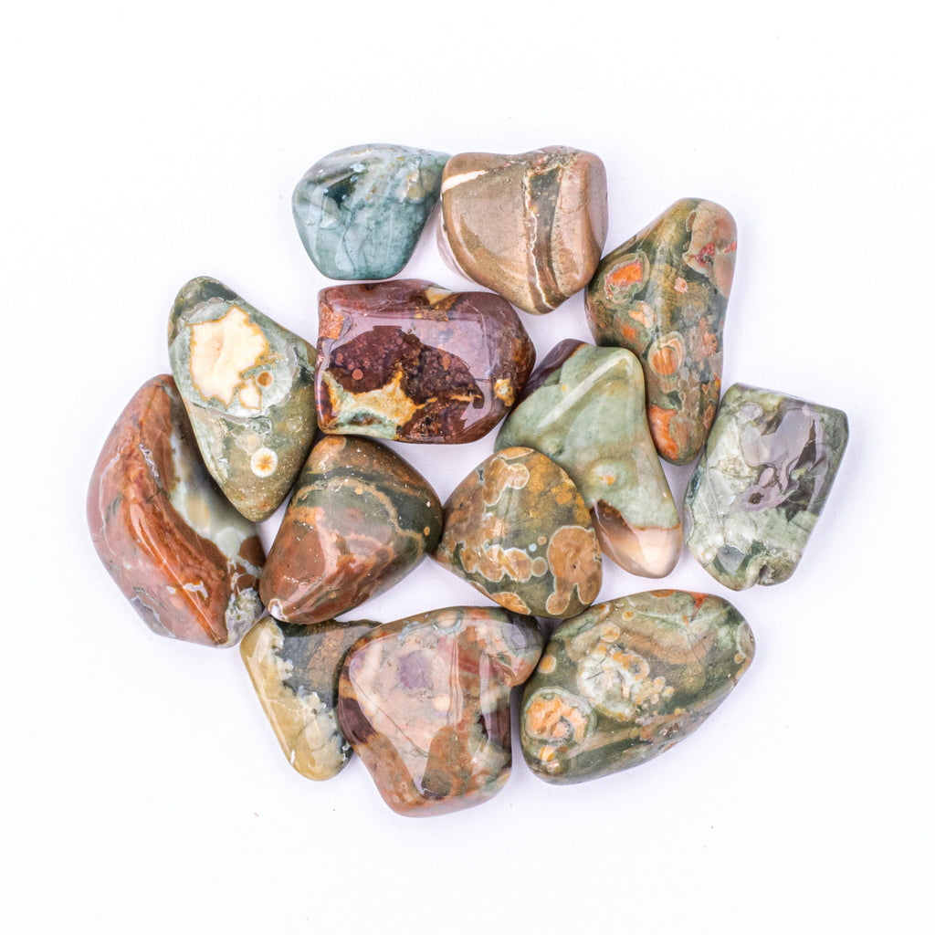 25 Grams of Small Tumbled Rainforest Rhyolite Jasper Gemstone Crystals